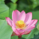 대유한의원 이미지