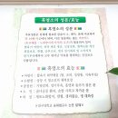 소향흑염소