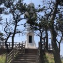 축항펜션 | [어르신에 충성]해파랑길 경주 12코스 감포항에서 양포항까지 13.5km를 걷다