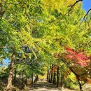 부석사관광안내소 이미지