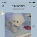 24시 더블유 동물의료센터 이미지