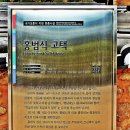 임꺽정 이미지