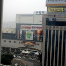 파레스빌 네이버블로그