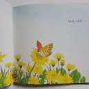 민들레는 민들레