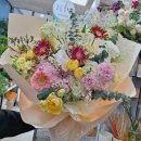 초롱프라자 | 분당 꽃집 아름다운 초롱꽃방 방문 후기