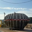 방죽 | 11월 보성여행 순천 근교 갈대 명소 | 벌교 중도방죽 후기