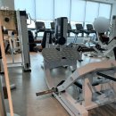 다낭성난소 증후군 1년 6개월 만에 [자연임신 성공기]/ 30대 임신 시도/ 배테기 x/배란유도제, 초음파 x