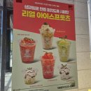 메가트로피 | 디저트 카페 : 트로피티 아일랜드 🏝️ 과일 디저트 천국! 아보카드커피 후기 송천에코시티점 리뷰