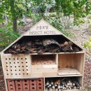 남산으로 이미지