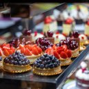 하이야트 이미지