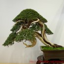 청수5로 이미지