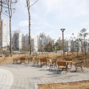 다정동_별찌뜰근린공원 이미지