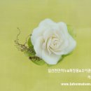 가드니아일산