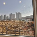 논뜰애밥상｜깊은 엄마손맛이 있는 중산동 제육볶음 맛집
