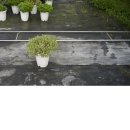 영이네농장 이미지