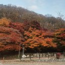 내장산국립공원화장실(야영장) 이미지