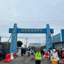 연안부두로 | 갈테야테야 연안부두로 쭈꾸미잡으러 갈테야 인천 쭈꾸미🐙낚시 정보 및 후기(+일본 멀미약 최고임.)