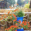 신안주공3차아파트 이미지