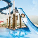 비발디파크오션월드 이데일리