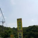 김근태농장 이미지