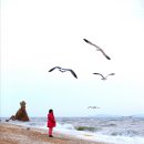 을왕리 선녀바위 갈매기... 이미지