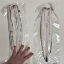 팔팔수산 | [구로 장어포장 맛집] 장어크기 실화? 😲집에서 간편하게 즐기는 장어한상! 팔팔수산 리얼후기!