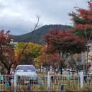 영덕읍사무소 이미지