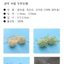 쿤이수염 이미지