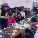 토종산천 이미지