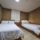 대관령로뎀나무 이미지