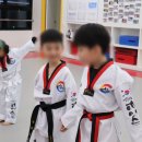 경희대 에이스 태권도장 이미지