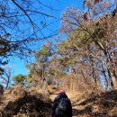 용댕이매운탕 이미지