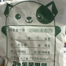 차암동물병원 이미지