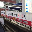 샤닭남천 네이버블로그