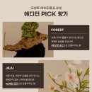 나만의 향기로운 디퓨져 만들기 이미지