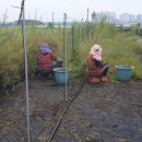 우범농장 이미지