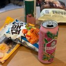 [광주] 야구 좋아하세요? feat.기아챔피언스필드