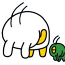 다비치안경원죽전점 이미지