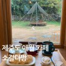 벌다방 | 고양이 천국이었던 제주 애월 고즈넉한 카페, 소길다방 (feat. 이브이웨이와 함께하는 무계획여행)