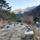 김광석농장 이미지