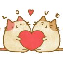 편하개 놀다가냥 이미지