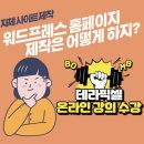 Q. 런칭3달만에 월1000 !!! 테라픽셀 임채원 대표님 인터뷰! 대신 질문해드립니다~!! 이미지