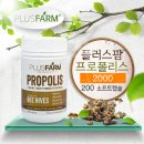 플러스팜
