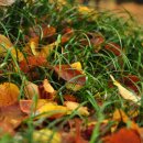 소향공원 이미지