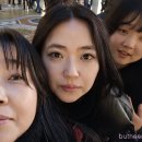 인형의 거리(소) 이미지