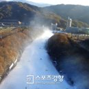 휘닉스파크 - 제천시 내토로32길 8-1 | 휘닉스파크