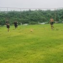 공하나협동조합 네이버블로그