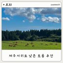 물영아리오름 | 제주 서귀포 오름 추천 물영아리오름 여름 후기