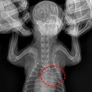 천안24시스카이동물메디컬센터 이미지