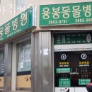 용봉동물병원